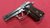 Pistola Pietro Beretta 81FS Cal.7,65mm Inox. (VENDIDA)